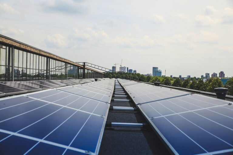 paneles solares
