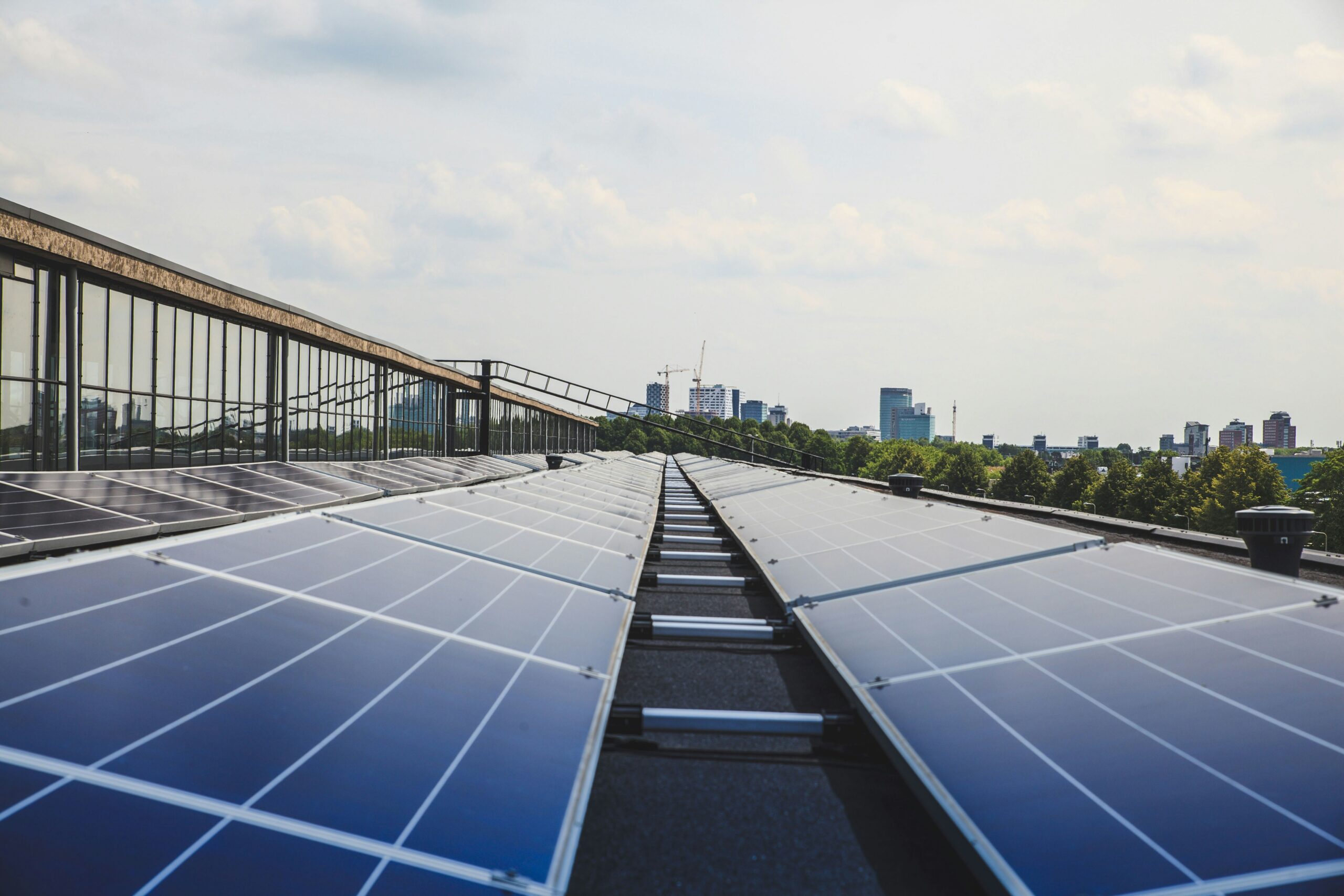 paneles solares